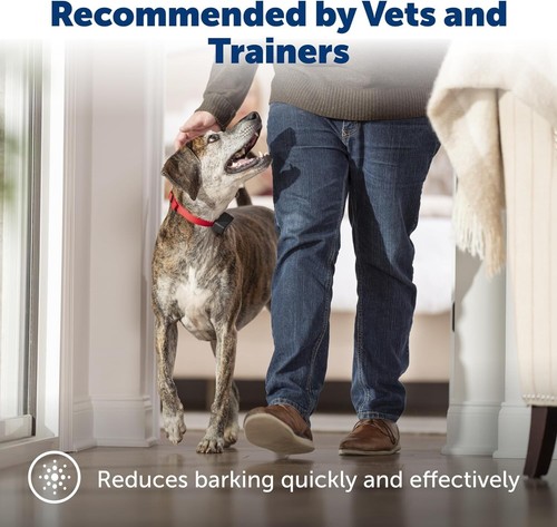 PetSafe Basic Bark Control Collar - Picture 4 of 6