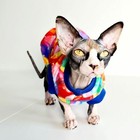 Foto 3 di 4