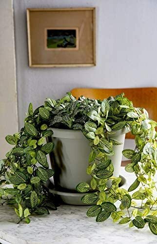 The HC Companies Indoor/Outdoor Round Plastic Classic Planter, Chocolate, 12" - Picture 4 of 4