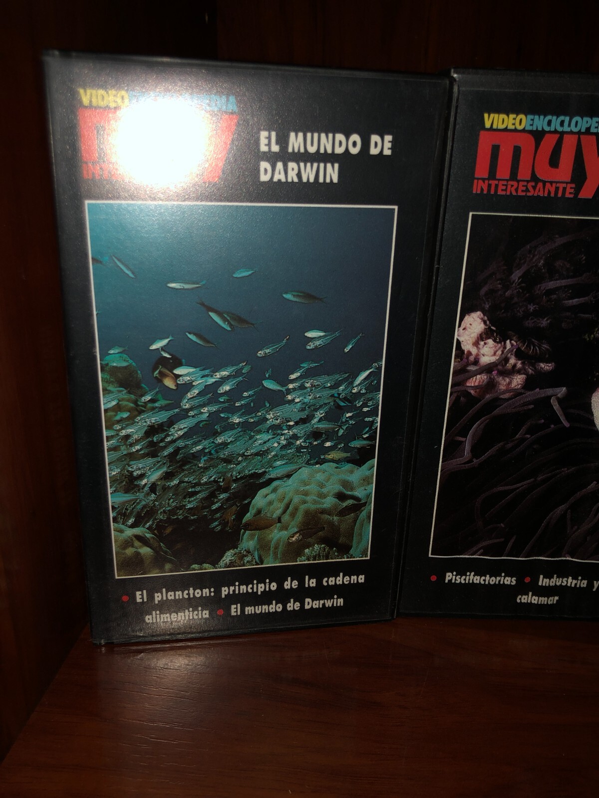 Imagen 4 de 15