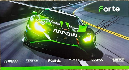 IMSA WeatherTech GT3 GTD PRO 14 Team Racer Signed Posters 30 Driver Autographs - Bild 9 von 16