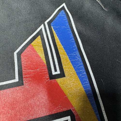 Nike FaZe Clan USA Hoodie F&F Tournament ULTRA RARE Therma Fit Champs Men’s L - Picture 3 of 8