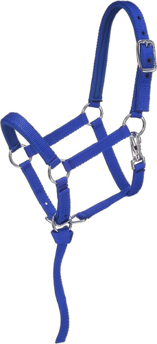 Nylon Padded Miniature Halter - Picture 6 of 12