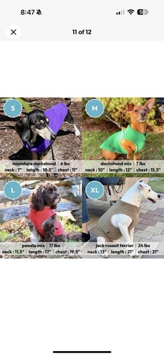 NWT, Gooby, Warm Pullover Fleece Dog Jacket with O-Ring Leash, Lavender, Small - Picture 12 of 15