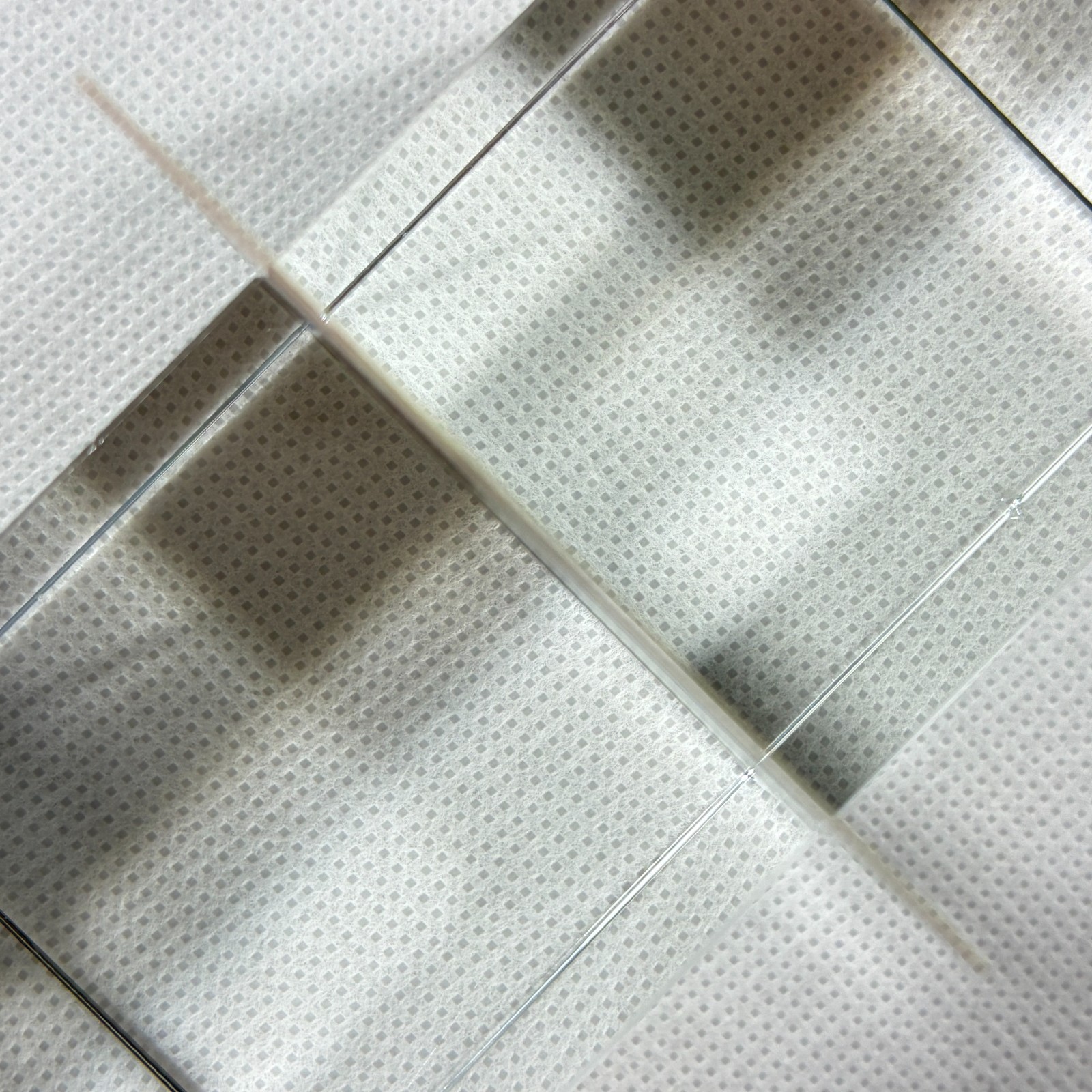 Picture 8 of 8