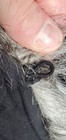 Bild 9 von 14