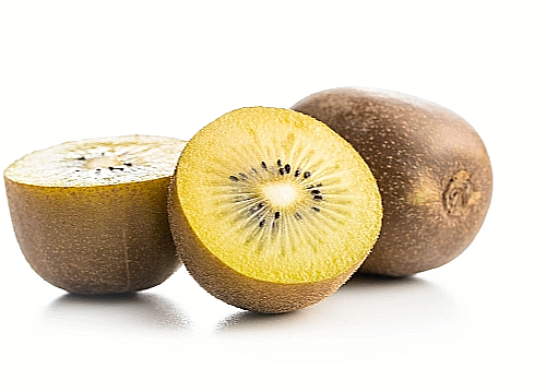 50+ Golden Kiwi Seeds: FAST GROWING EDIBLE FRUIT VINE (Actinidia chinensis) - Picture 14 of 16