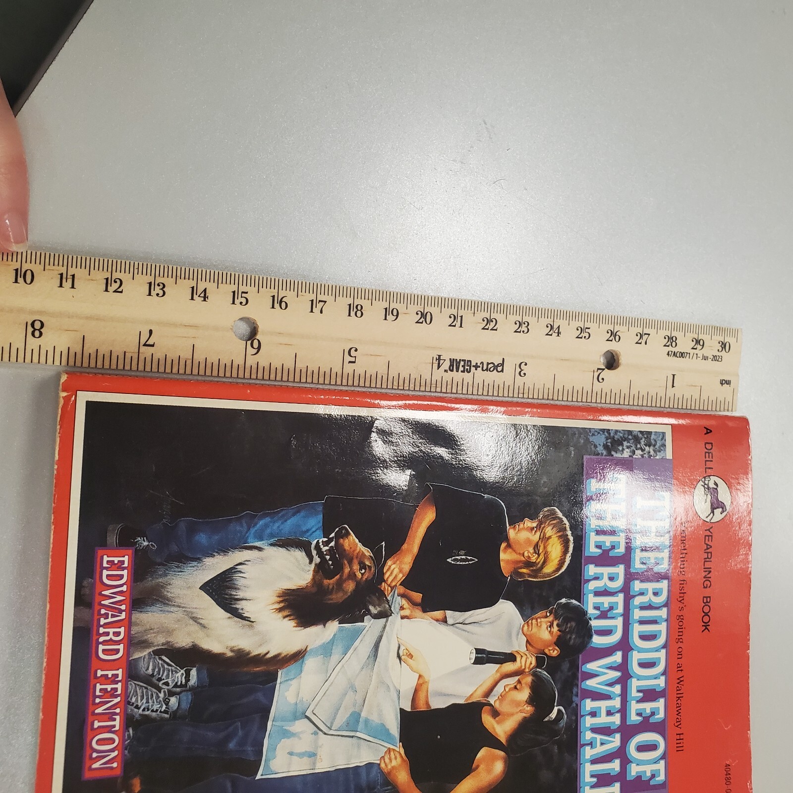 Foto 15 di 15