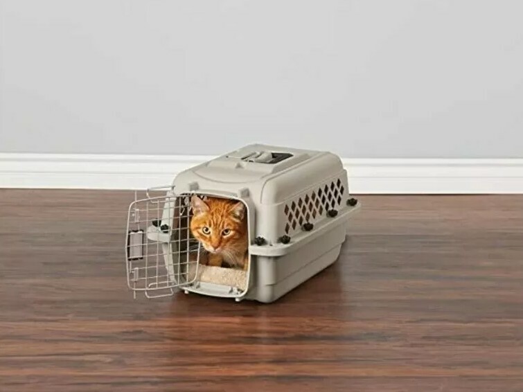 Canadian tire cheap pet supplies
