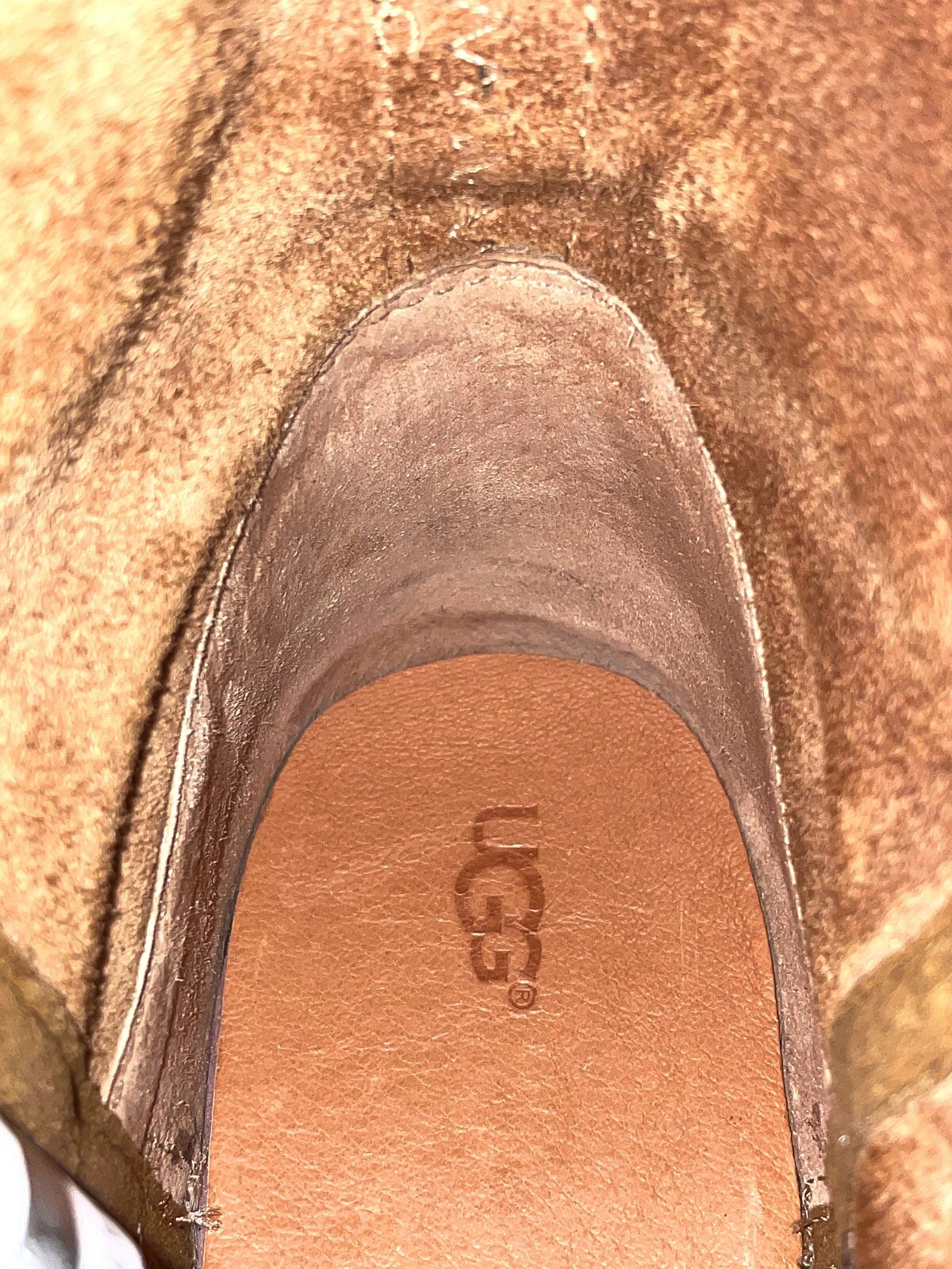 Picture 6 of 19