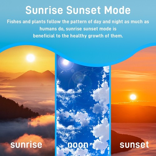 Underwater Aquarium LED Light Fish Tank RGB Submersible Lamp + Remote - Picture 29 of 38