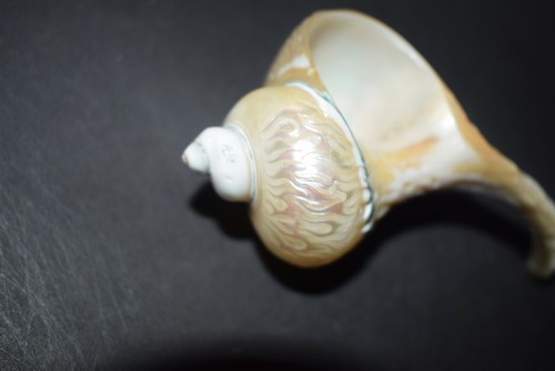 Okimono, Shunga, Muschel mit erigiertem Phallus in Flammen, sign.,110mm - Zdjęcie 6 z 9