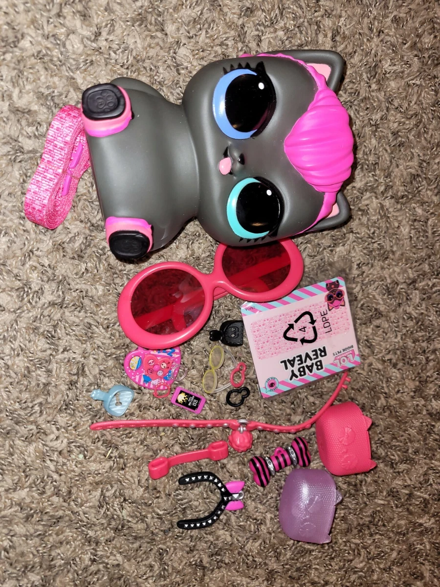 Spicy kitty sales biggie pet