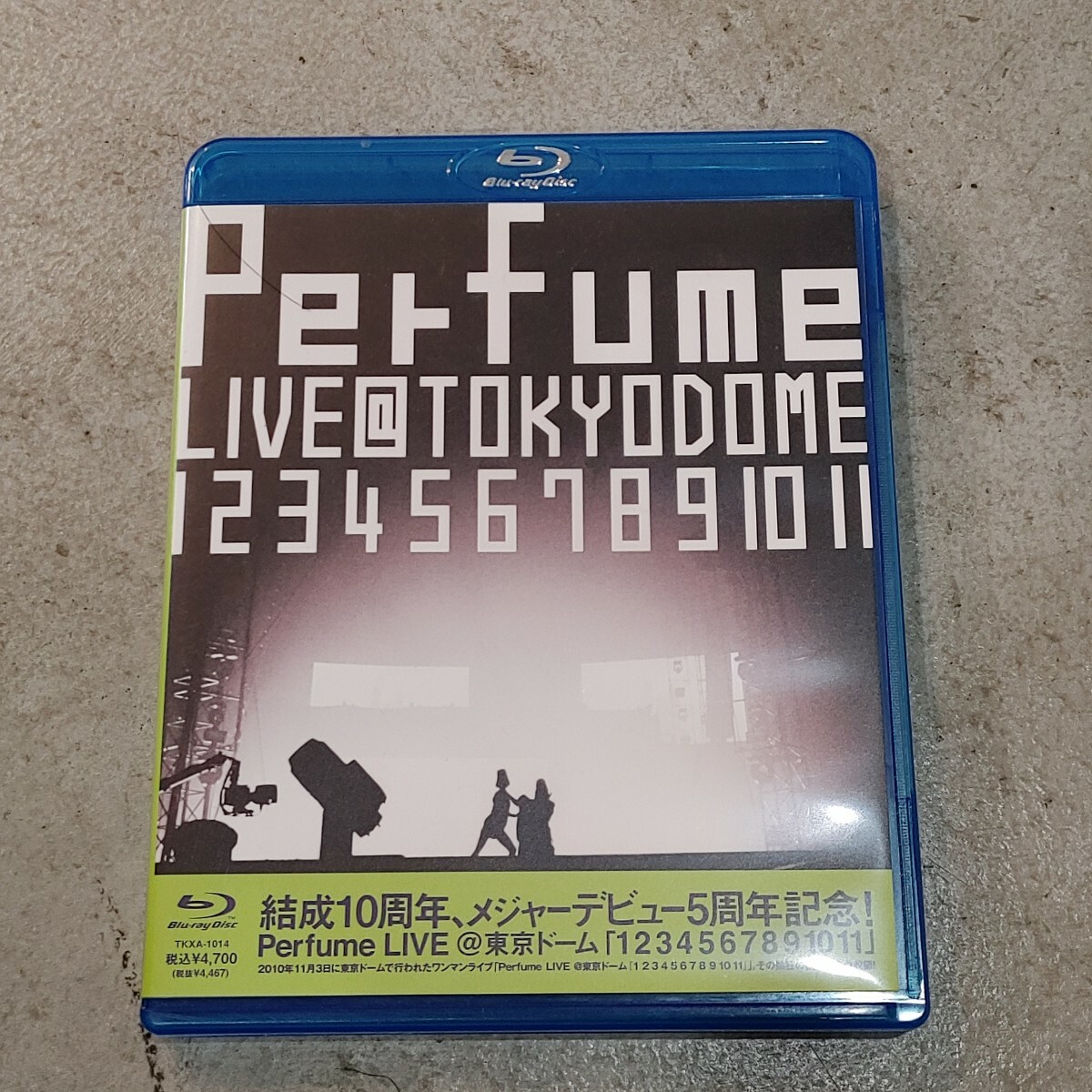 Perfume 東京ドーム1234567891011 写真集 フィットパル