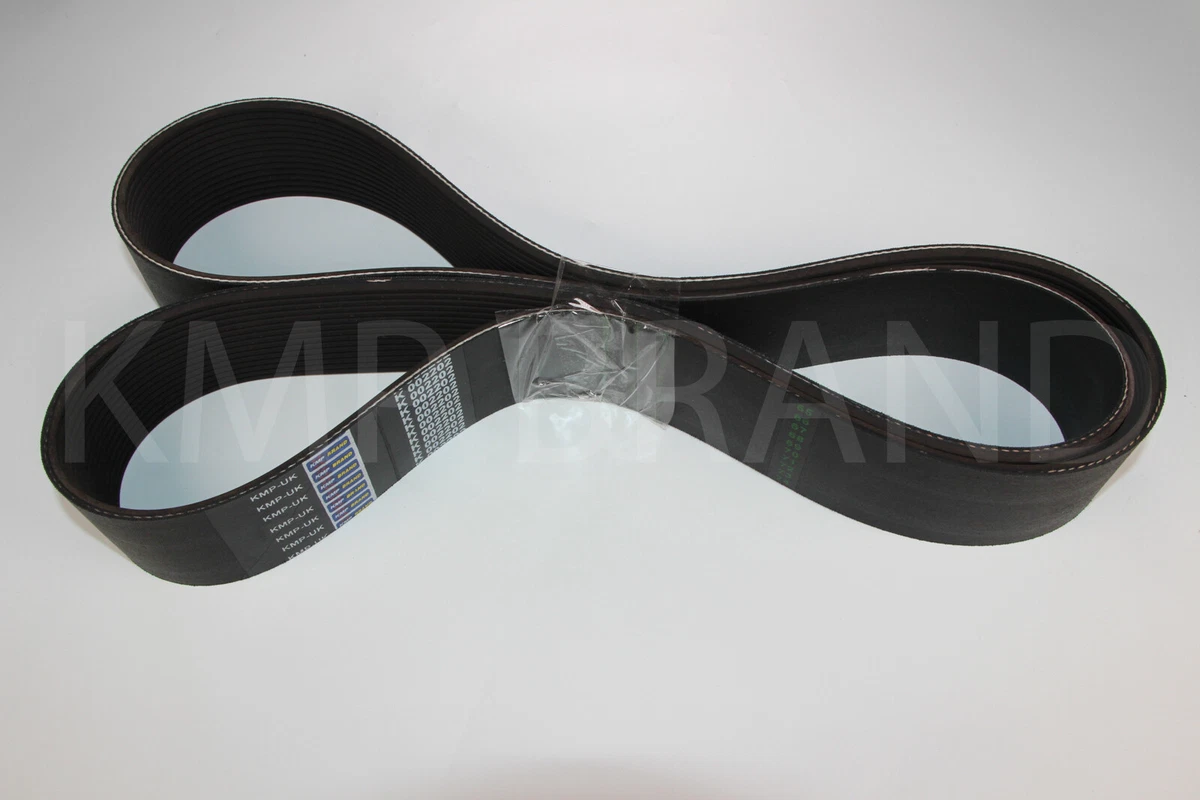 3002202 Pack of 1 V-BELT For CumminsÂ® | eBay