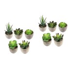 2 PCS Potted Artificial Plants Succulents Unpotted Simulation of Flowers