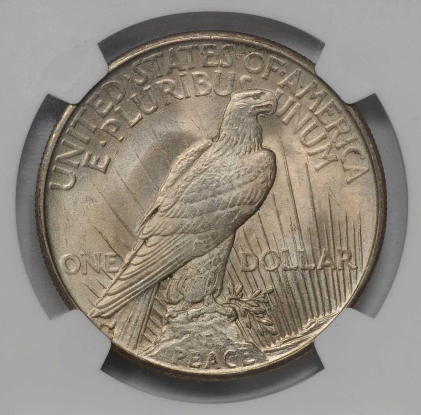 1921 NGC MS66 █ $150,000 PCGS P.G.for MS67 █  Key Date Peace Dollar