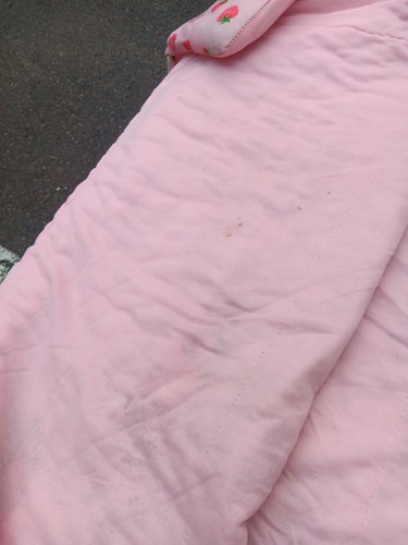 Vintage 80er Retro Strawberry Shortcake Kindergröße Schlafsack Sweet Dreams - Bild 7 von 15