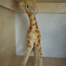 Steiff Giraffe 14" missing button and tag