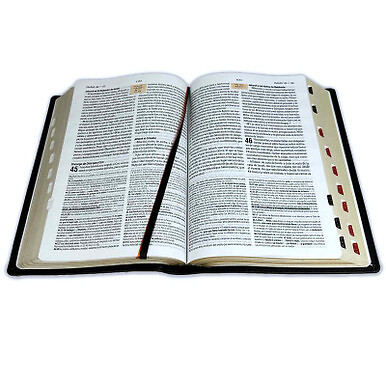Biblia de Estudio Teologico RV1960 piel genuina negro con indice - Imagen 4 de 5