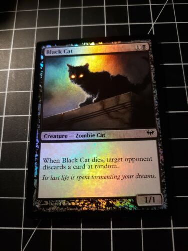 1 x Black Cat - Foil - Dark Ascension - Magic The Gathering - MTG