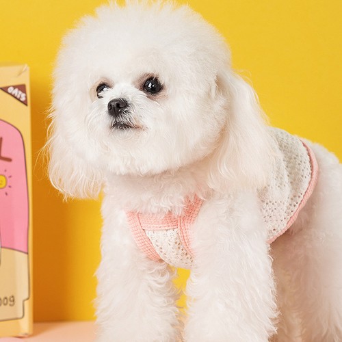 Perro Mascota Cabestrillo Vestidos Ropa de Fiesta con Lazo Camisola Moda Camisa Caminar - Imagen 8 de 23