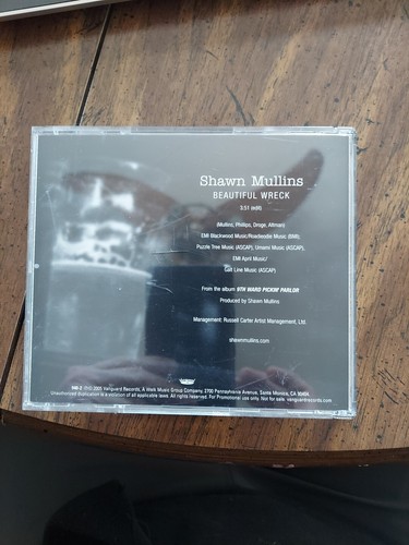 Shawn Mullins Beautiful Wreck - 第 4/4 張圖片