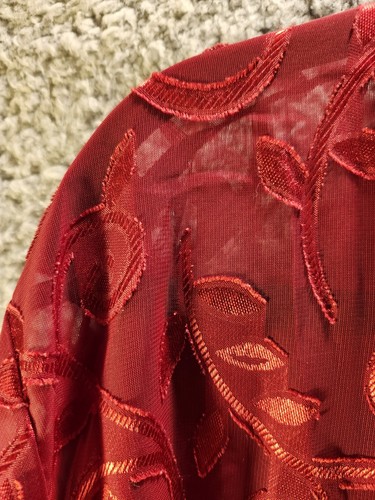 Blusa Dressbarn Mujer Transparente 2X Vino Tinto Volantes Clásica Fiesta Femenina - Imagen 14 de 24