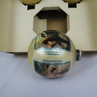 Picture 3 of 11