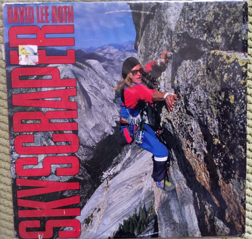 David Lee Roth – Skyscraper 1988 LP Album vinyl album - Picture 4 of 4