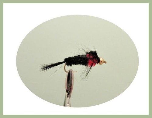 Montana Trucha Moscas, 40 Moscas, Juego en Caja Color Mixto, Ninfa Montana NBX26 - Imagen 6 de 12