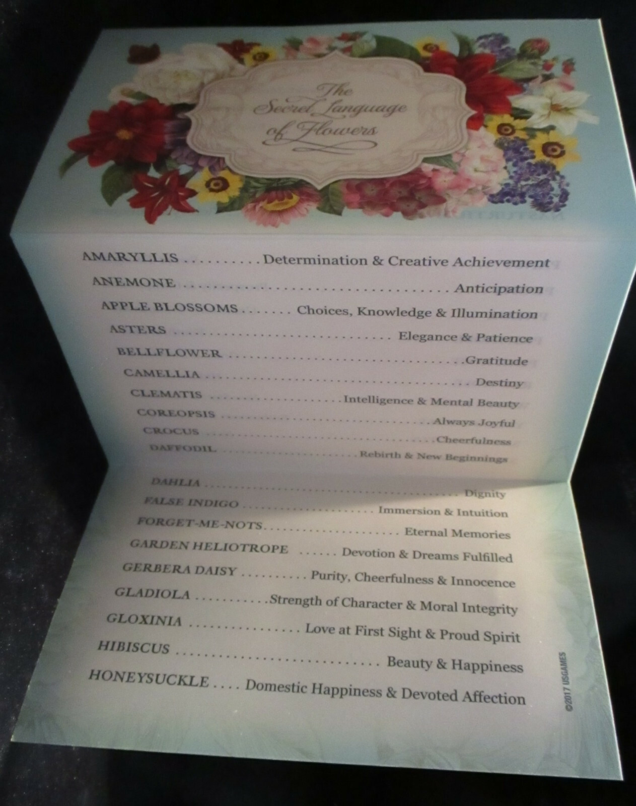 Imagen 4 de 12