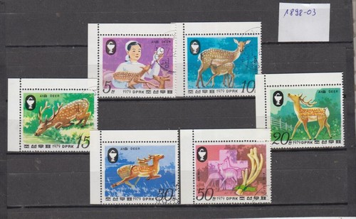 Damwild Rehe Hirsche Satz Korea 1898-1903