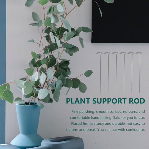 6 Pcs Plant Support Climbing Plants Flower liquidation Stand Frame Miss