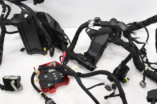 2023 - 2025 DODGE HORNET 2.0L ENGINE WIRE WIRING HARNESS OEM - Picture 6 of 13