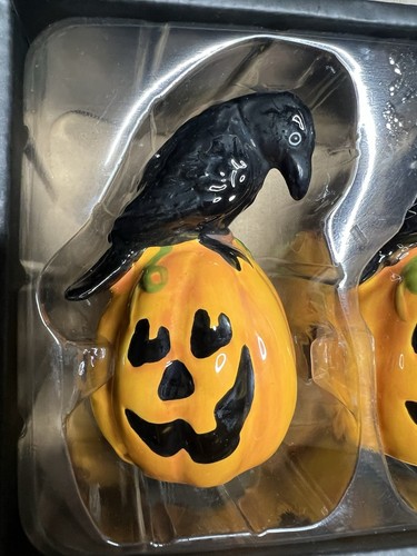 Set shaker sale pepe zucca e corvo argilla cielo blu Halloween regalo casa - Foto 6 di 8