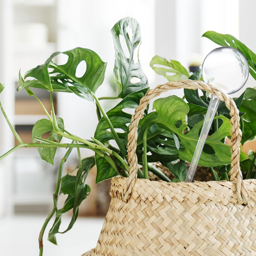 Sfera Sfere per Irrigazione, Set Da 9, Hxd: 28X8 Cm, Irrigatori Da 250 Ml per Pi - Foto 3 di 12