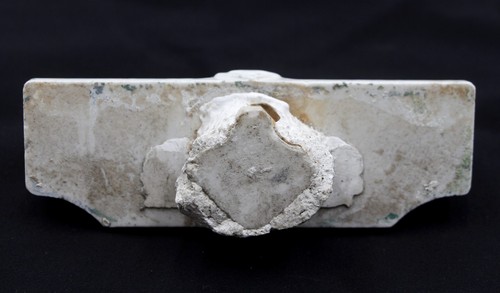 Vintage Ceramic White Wall Mount 6 Toothbrush Holder - Picture 6 of 6