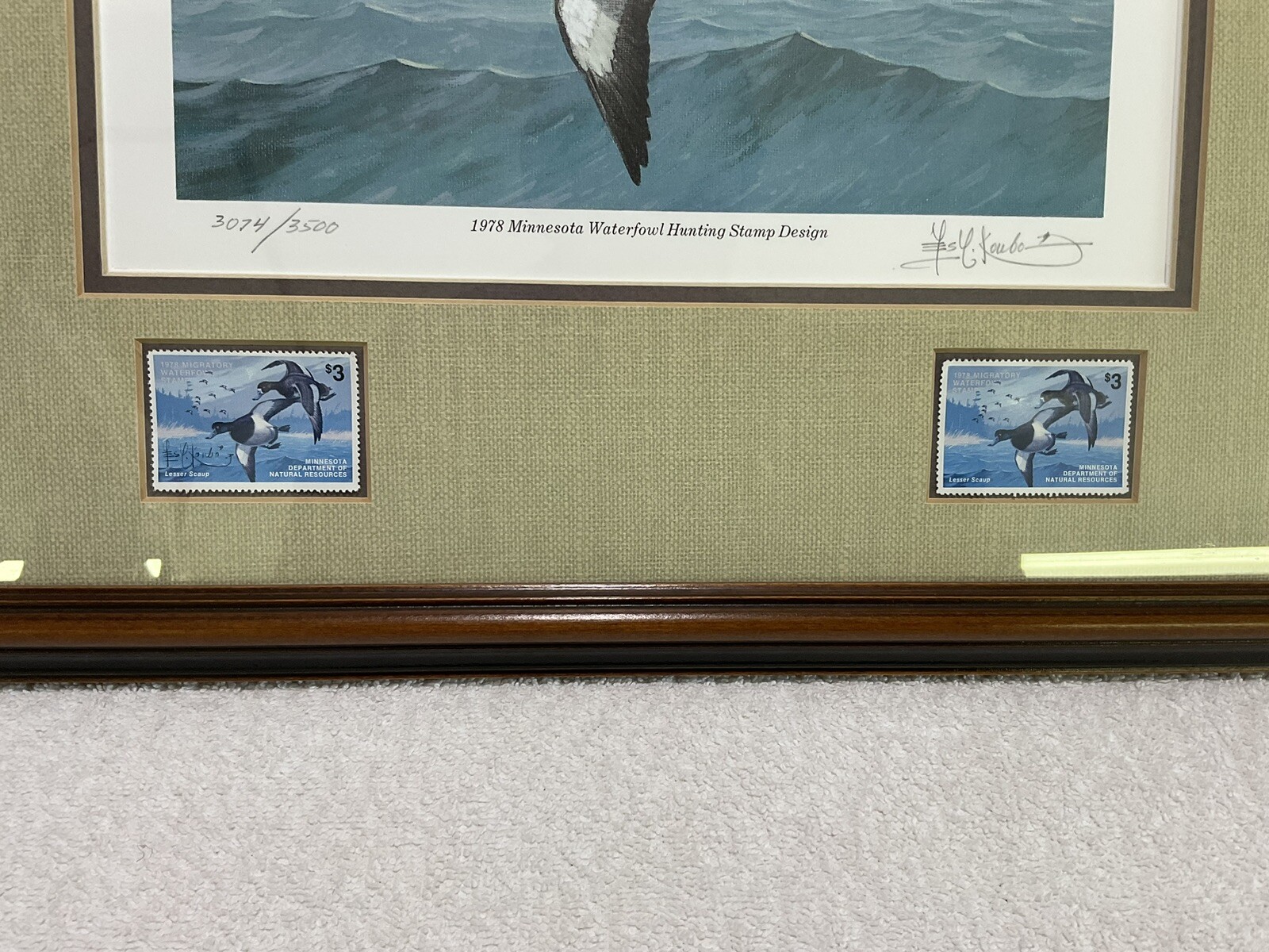 Picture 8 of 8