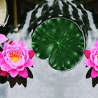 Bild 3 von 10
