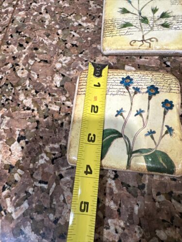 LORI SIEBERT Botanical Stoneware Resin Square Coasters Signed Cork Back 4 set - Picture 7 of 8