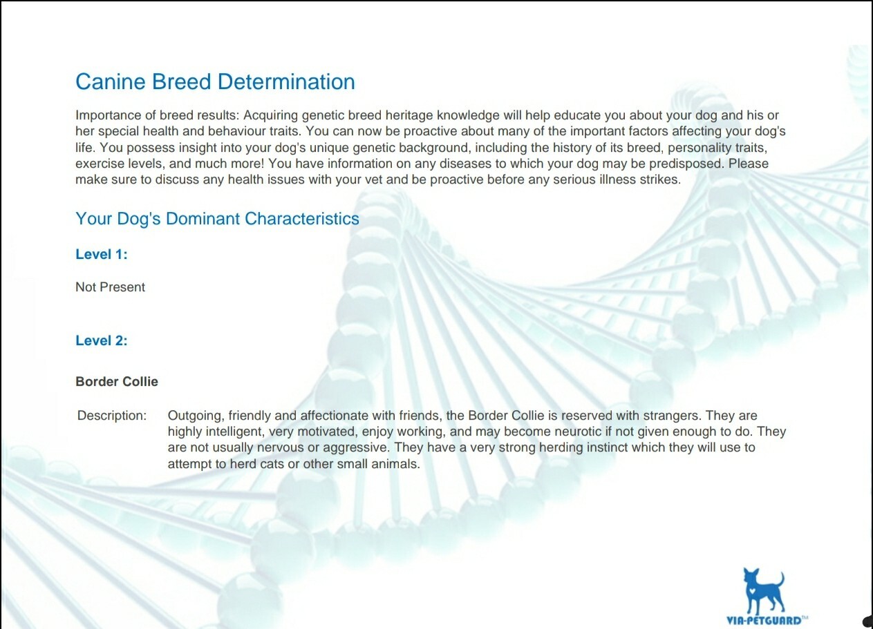 Canine DNA TEST KIT Viaguard swab Dog full breed composition certificate x 1 kit - Picture 13 of 16