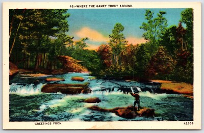 Generic Greetings Postcard Where the Gamey Trout Abound USA