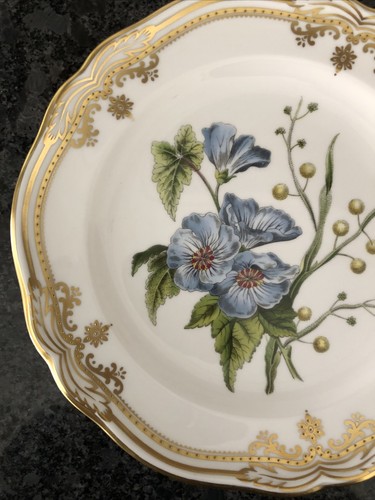 SPODE CHINA ENGLAND STAFFORD FLOWERS Y8519 20CM 8" SALAD PLATE. NEW - Picture 3 of 15