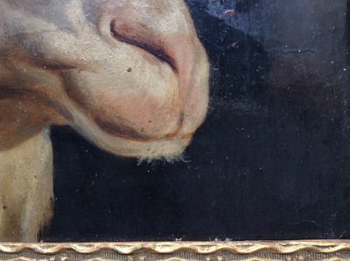 19th Century Rosa BONHEUR Portrait of a Sheep's Head Authentic Oil Painting - Photo 10 sur 12