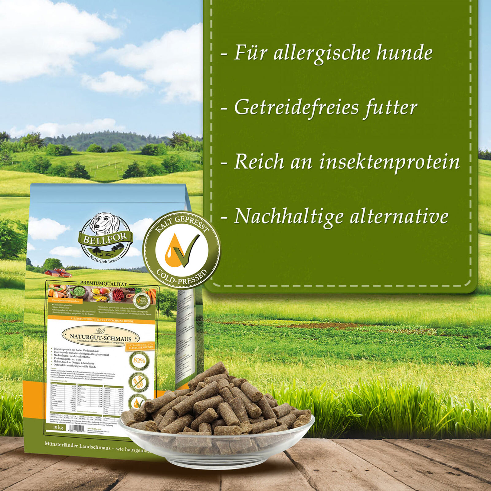 Bild 5 von 9