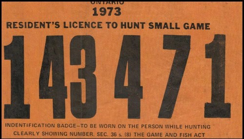 ONTARIO SMALL GAME HUNTING LICENCES 1972 & 1973 REF: QST244 HUN - Picture 2 of 2
