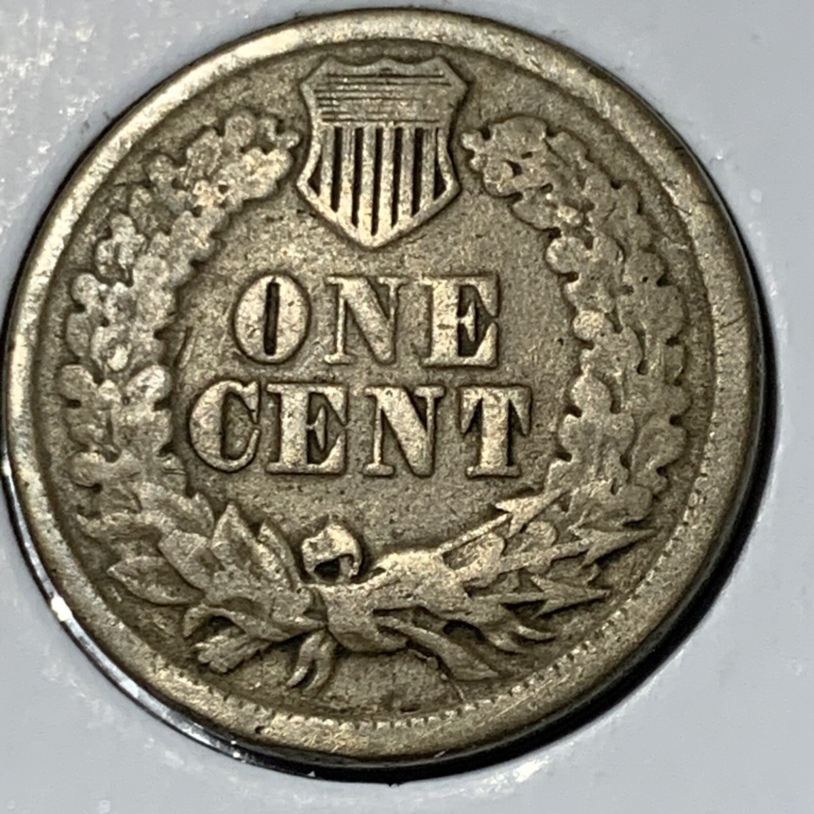 Picture 10 of 10
