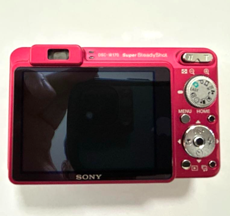 Sony Cyber-shot DSC-W170 10.1MP Digital Camera - Silver (DSC