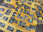Bild 11 von 12